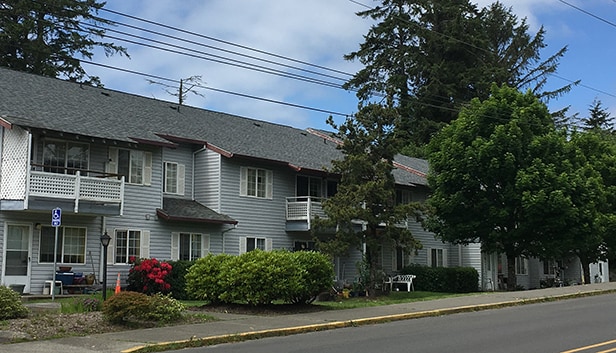 Photo - Z_Surf Pines