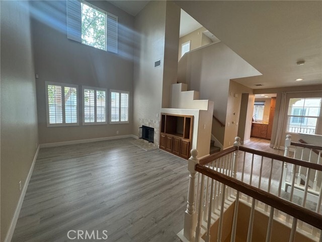 Photo - 30 Perennial