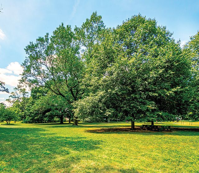 Photo - Colony House Apartments