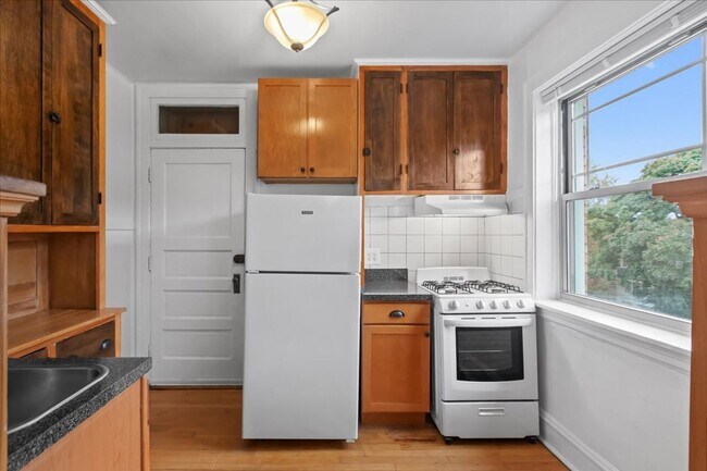 Photo - Large One Bedroom in Andersonville Unit 33-1B