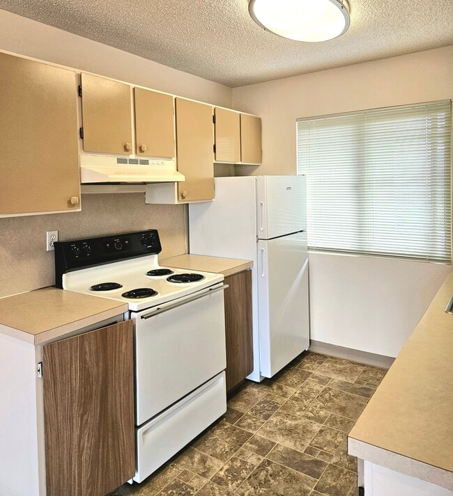 Photo - Olympic View