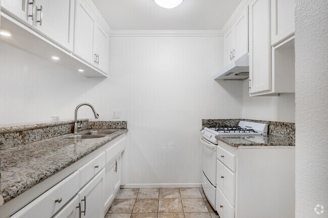 Studio - 500SF - Kitchen