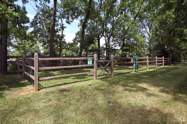 Dog Park