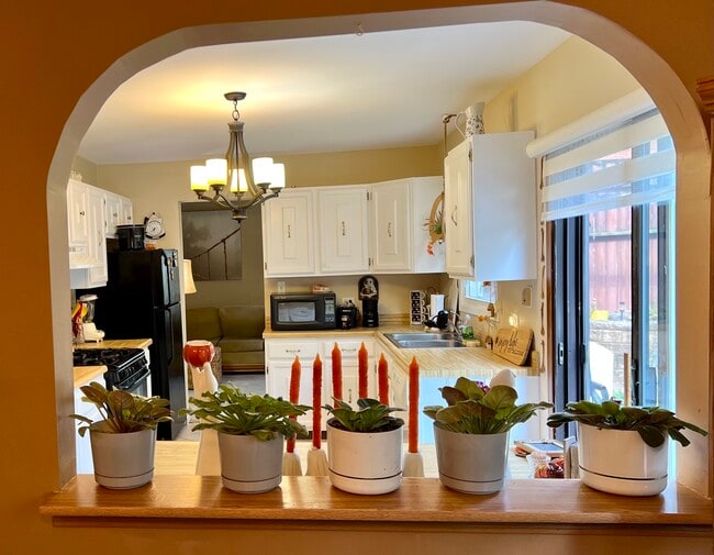 Photo - 213 Stanyon Ln