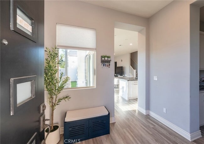 Photo - 102 Spectacle