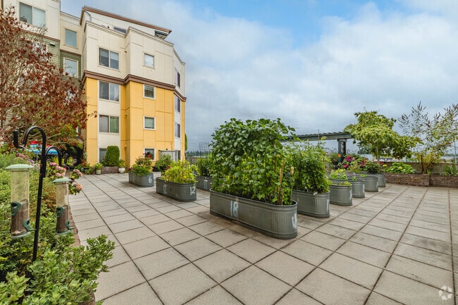P-Patch Planters - New Haven Senior Living Apartments