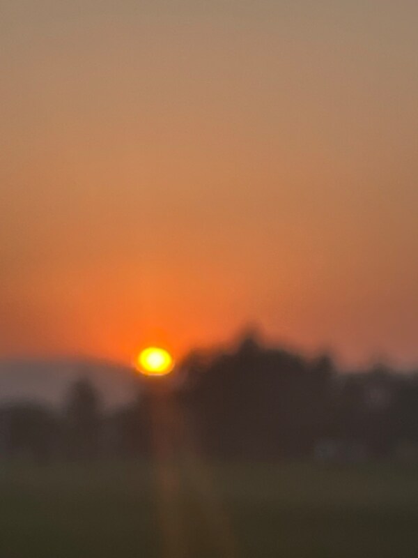 Photo - 9454 California Oak Cir