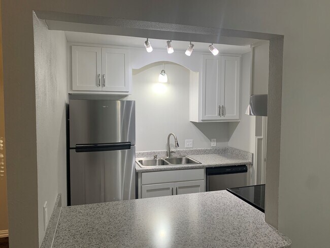 Newly remodeled kitchen - 1200 Tyra Ln Unit D