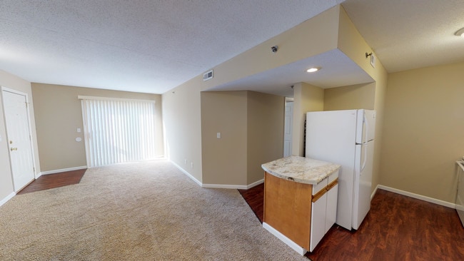 Creekside - Sala de estar / Cocina - Mountain Valley Properties -Carbondale