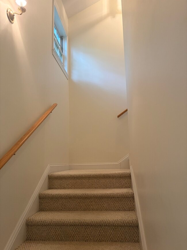 Photo - 15 Clay St