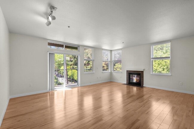 Photo - Collins Circle