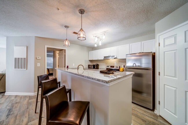 Photo - Autumn Woods