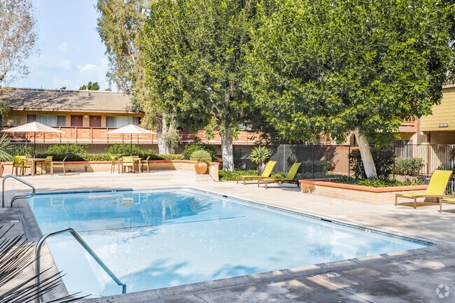 Piscina - Canyon Pines Apartments