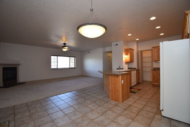 1255 Wolf Hollow Ln