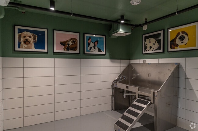 Luxury Pet Spa