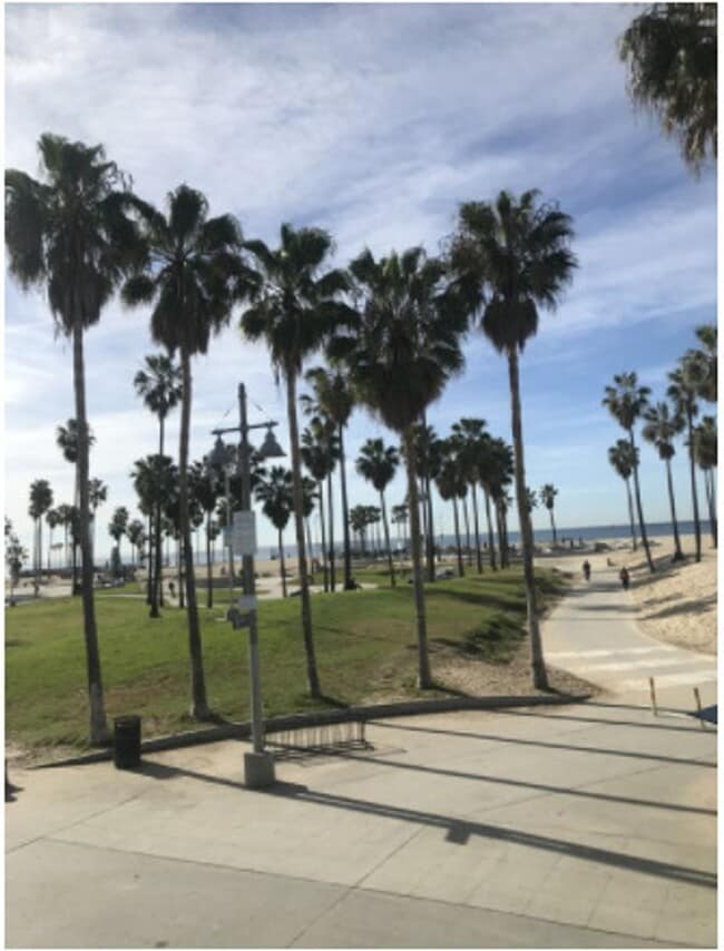 1313 Ocean Front Walk Unit 19