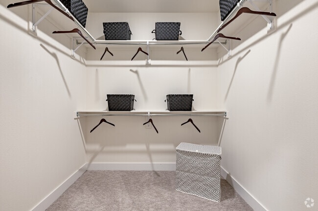 2BR, 2BA - 1085SF - Closet