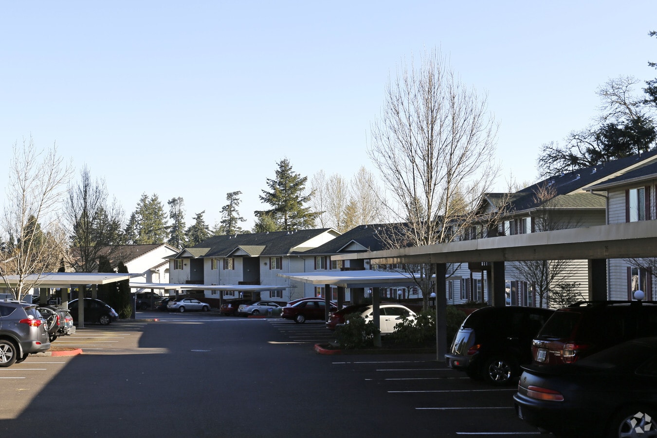 Photo - Cinnamon Lakes Apartments