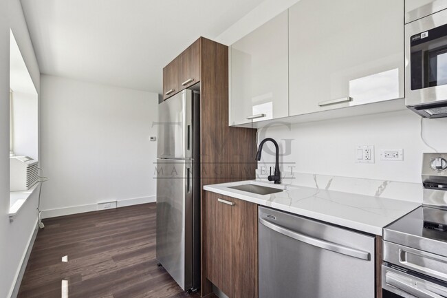 Photo - Sleek, Bright & Brand New — Stylish Studio in Andersonville Unit 1553 - 206
