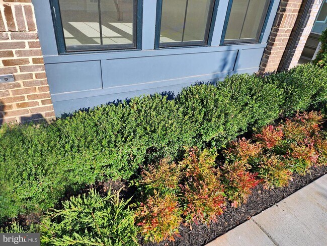 Photo - 43212 Farringdon Sq Townhome