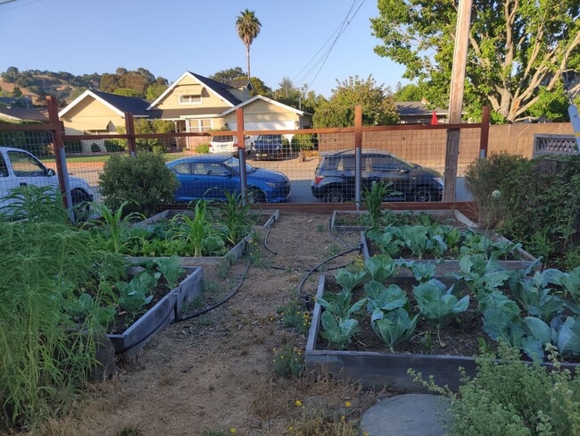 Photo - 163 Deepstone Dr