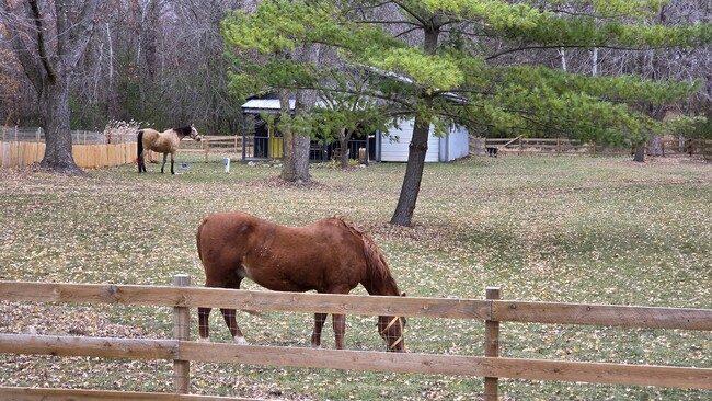 Photo - 9500 Fox Valley Dr