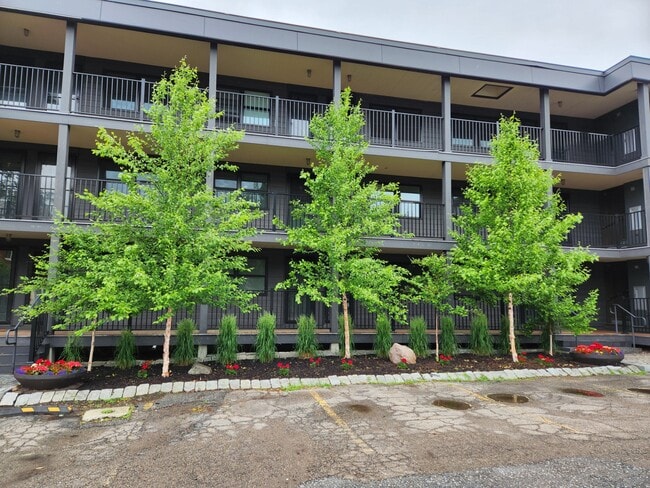 Photo - 328 College St