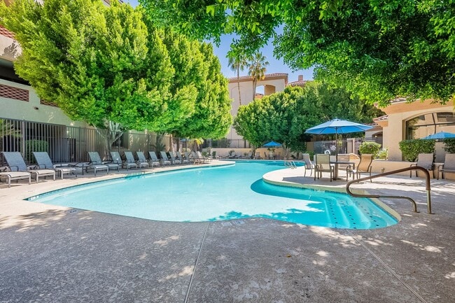Photo - 32nd St & Camelback - Excellent Location