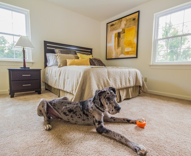 Photo - Brandon Point Apartments