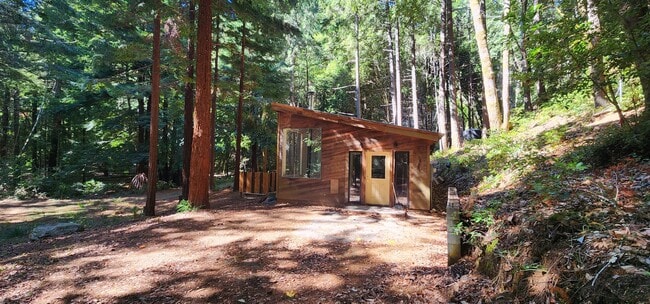 Photo - Cabin In the Wood!