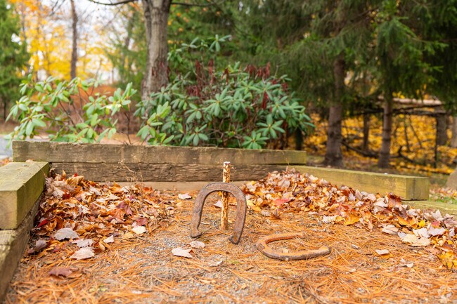 Horseshoe Pit