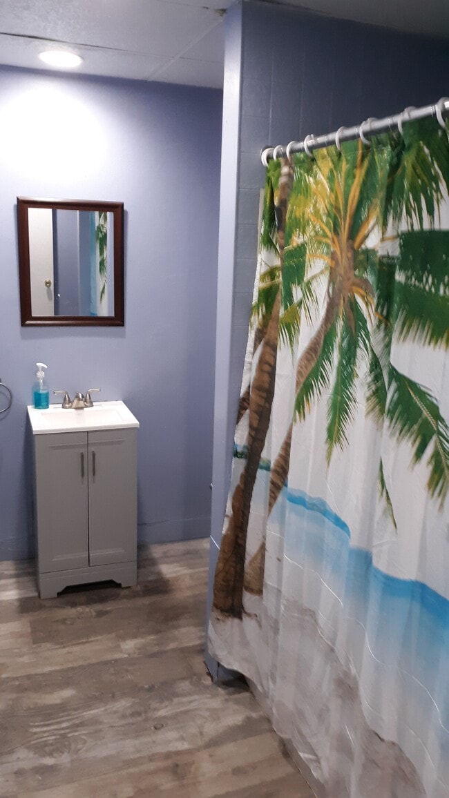 Updated bathrooms - 16 Goethe St