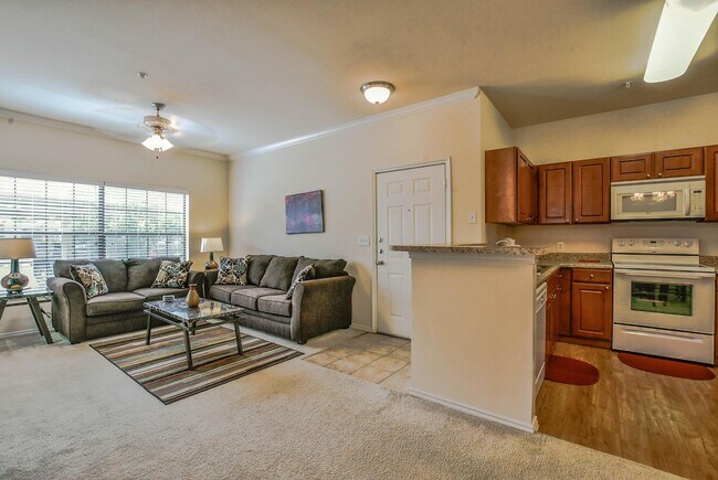 Photo - Dorado Ranch