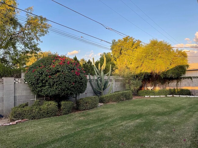 Photo - 302 E El Caminito Dr