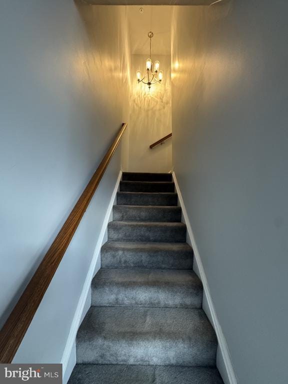 Photo - 116 Black Duck Ct