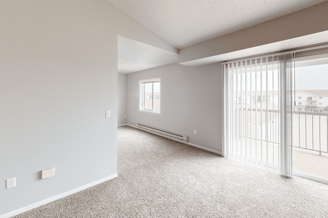 Plush Carpet