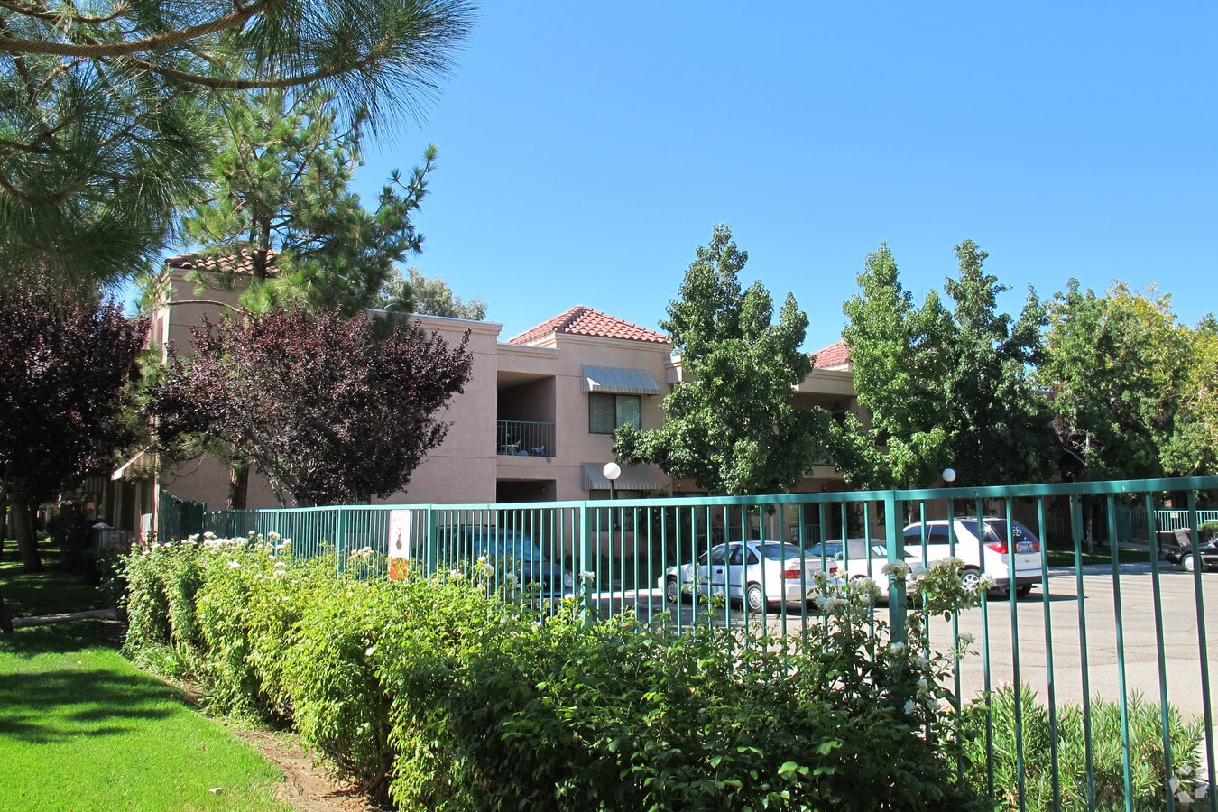 Cedar Town Square - Cedar Town Square