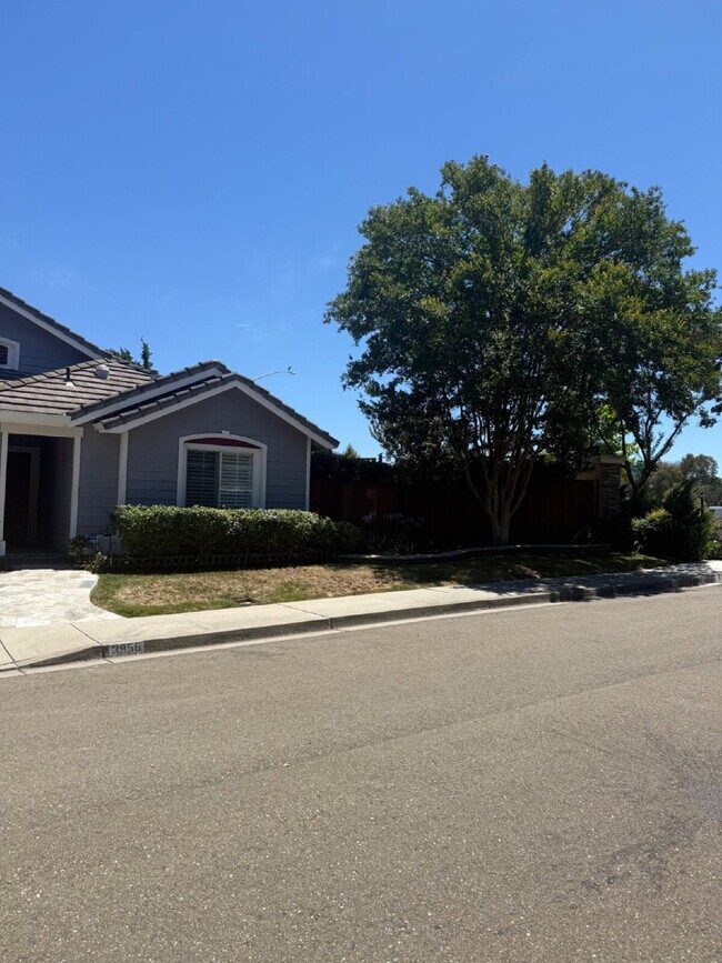 Photo - Beautiful 3-Bedroom 2 bathroom in the Heart of Pleasanton!
