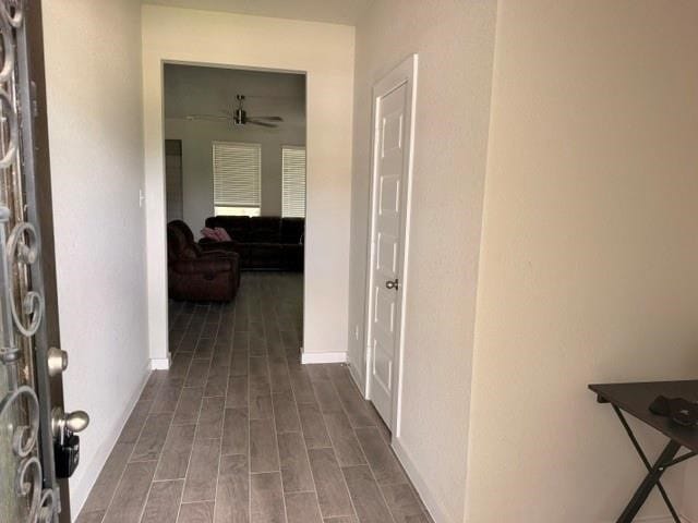 Photo - 2719 Oakleaf Ash Ln