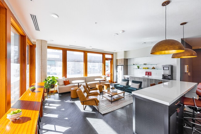 Photo - Forty One 11