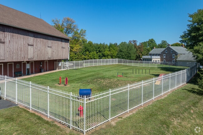 Dog Park