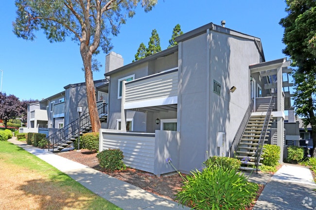 Plum Tree Apartments