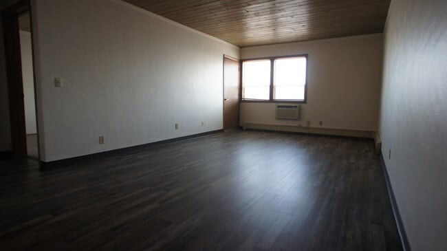 Apt 211 - Living Room - Riverfront Apartments Unit 207