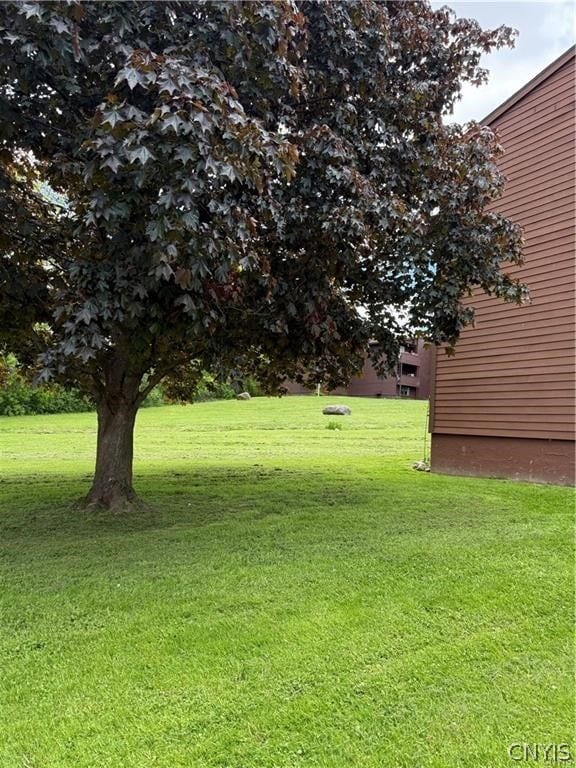 Photo - 343 Village Blvd N