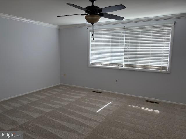 Photo - 6581 Pressed Gentian