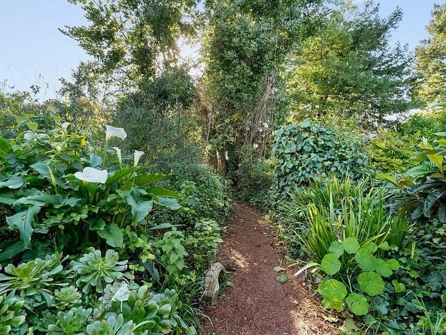 Photo - 131 Spring St