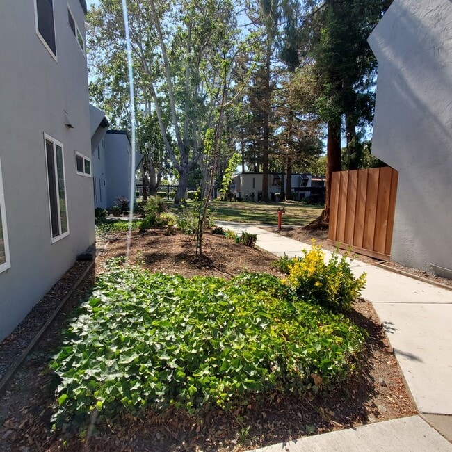 Photo - Convenient Livermore 1bd/1ba Ground Floor Condo- Available in April