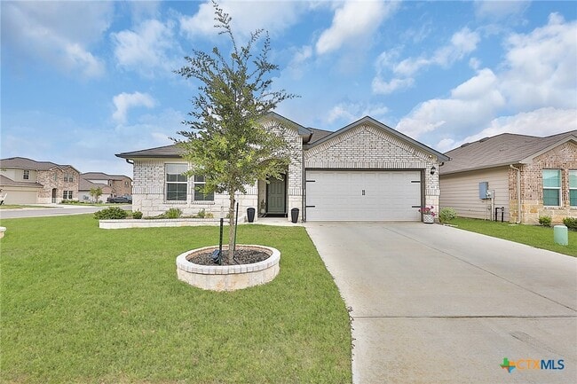 Photo - 801 Cinnamon Teal