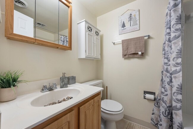The Apartments at Oak Hill