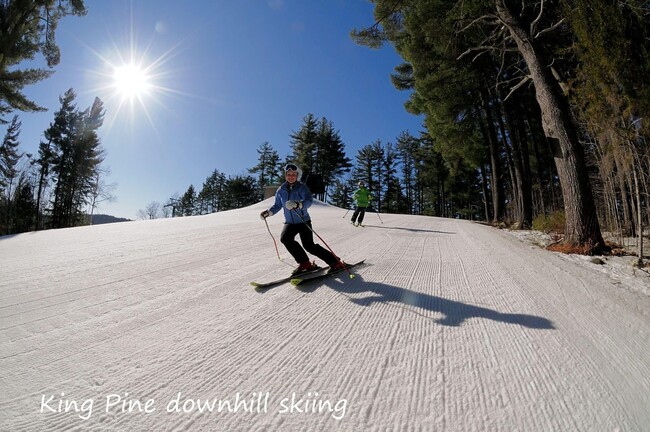 Photo - 217 Bailey Rd